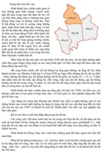 Giải pháp quy hoạch Khu A – đô thị thể thao Olympic